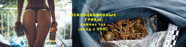 прущая мука Пестово