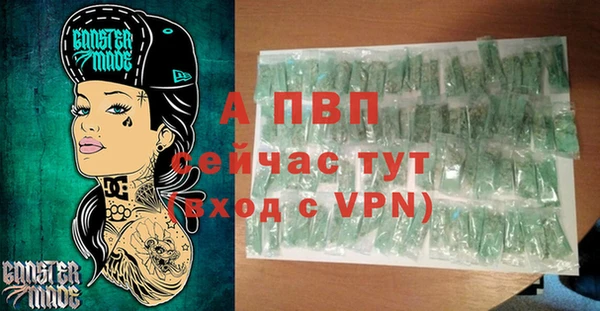 гашик Переславль-Залесский