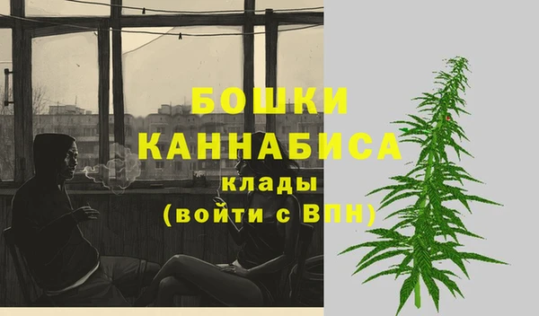 гашик Переславль-Залесский