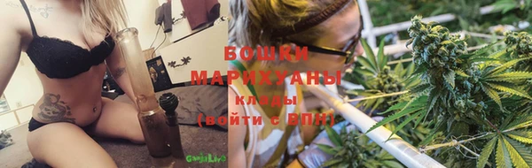гашик Переславль-Залесский
