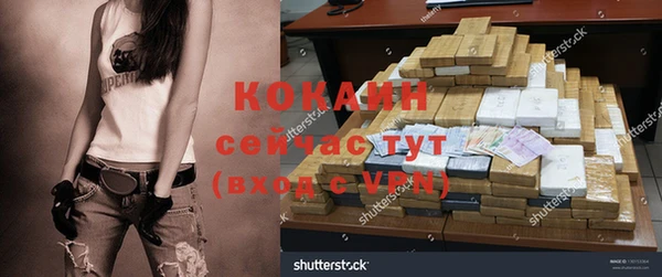 гашик Переславль-Залесский